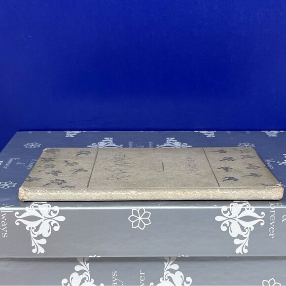 Rip Van Winkle Book Washington Irving Copyright 1896 - Picture 4 of 12